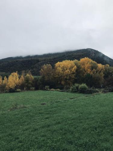 Vista al campo - Casa Rural Fuertes